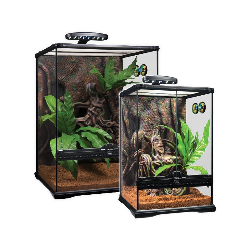Kit terrario gecko crestado exoterra Kit terrario gecko crestado exoterra